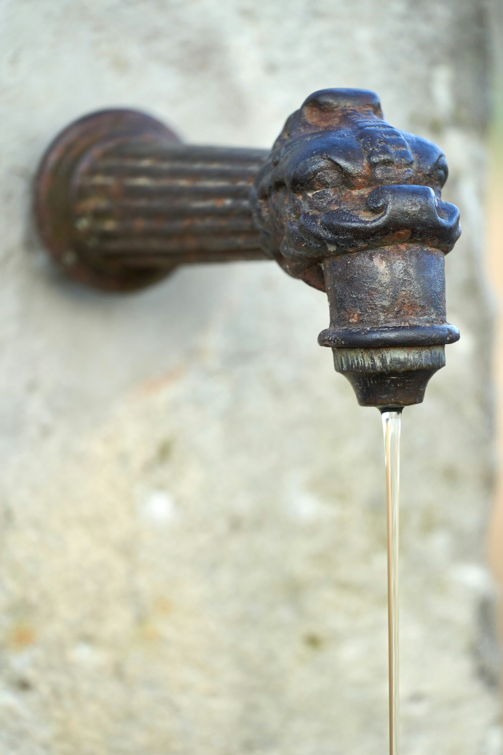 wolfgang hasselmann hgnl8skmph4 unsplash